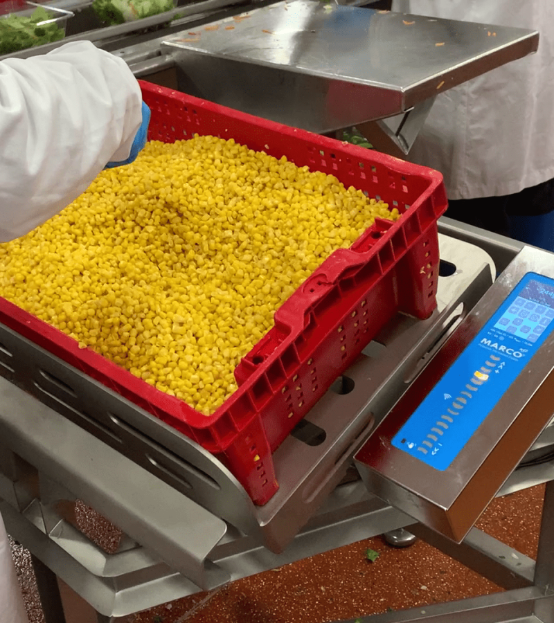 Food Manfacturing - TMV (3)