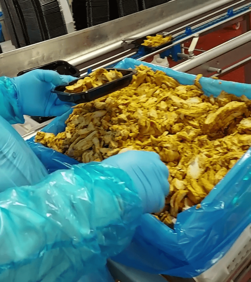 Food Manfacturing - TMV (4)